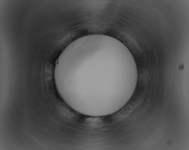 X0000101160133200807181408