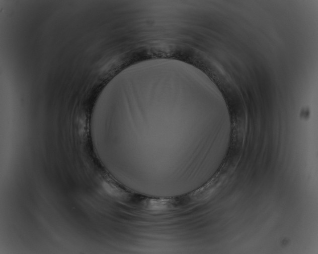 X0000101160134200807181408