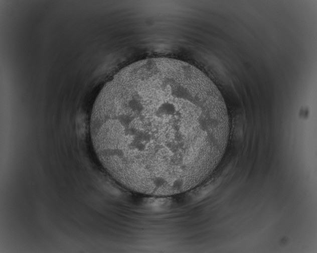 X0000101160135200807181408