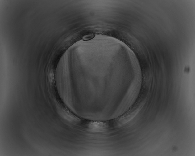 X0000101160137200807181408