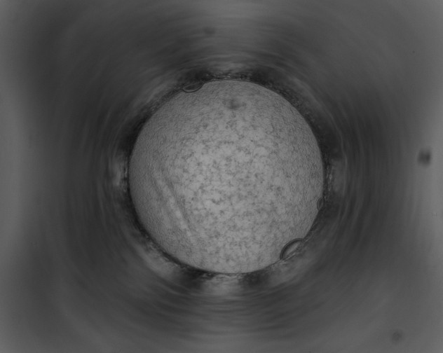 X0000101160138200807181408