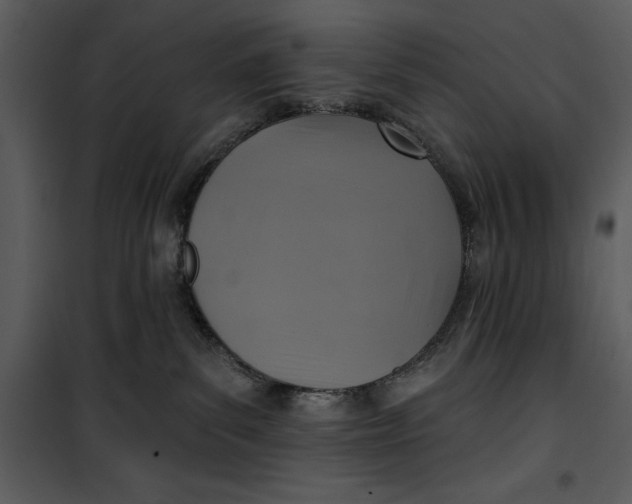 X0000101160139200807181408