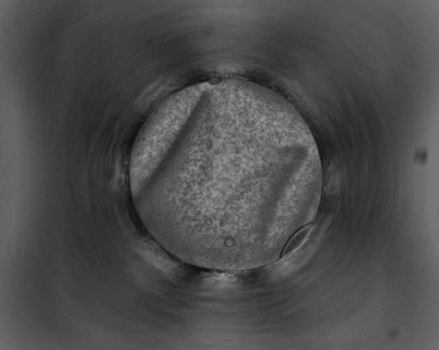 X0000101160140200807181408