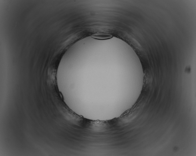 X0000101160141200807181408