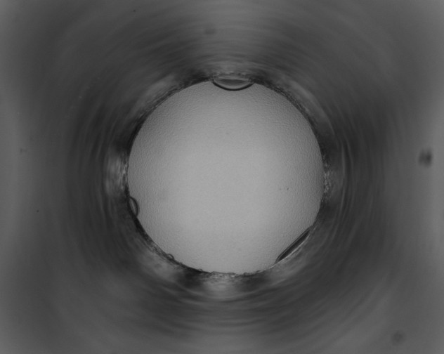 X0000101160142200807181408