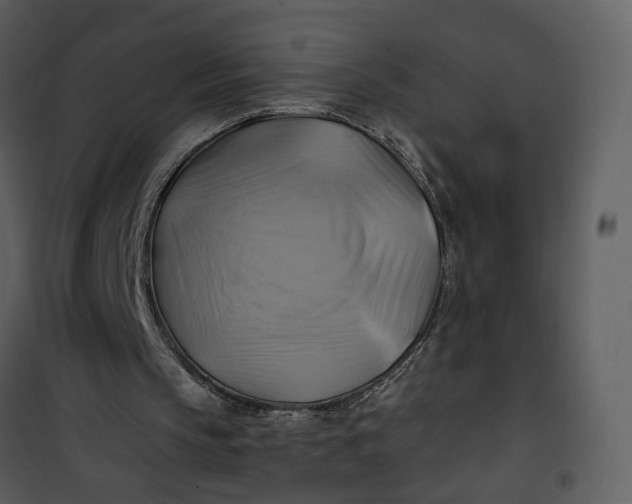 X0000101160145200807181407