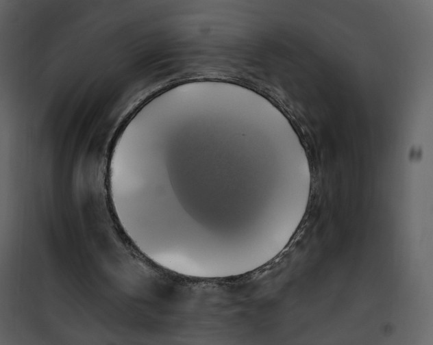 X0000101160146200807181407