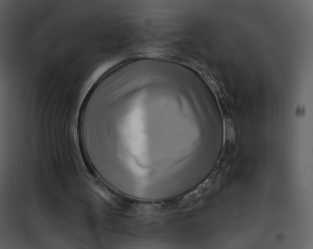 X0000101160147200807181407