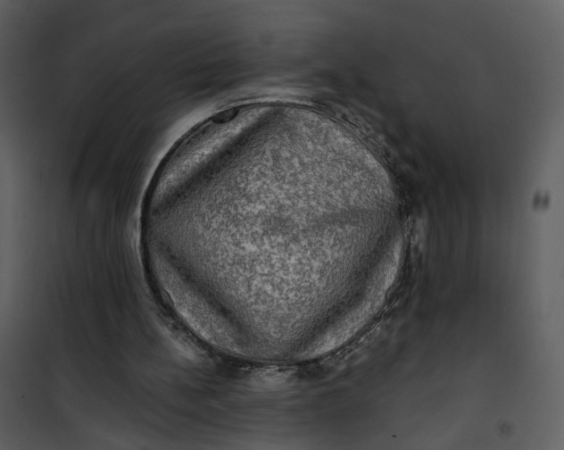 X0000101160148200807181407