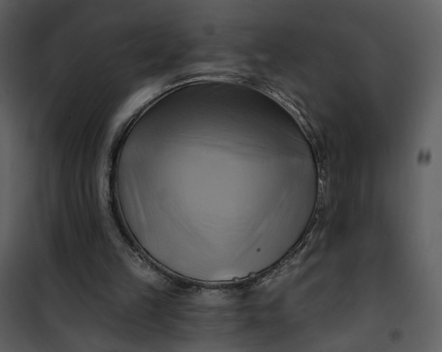 X0000101160149200807181407