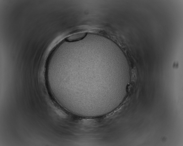 X0000101160150200807181407