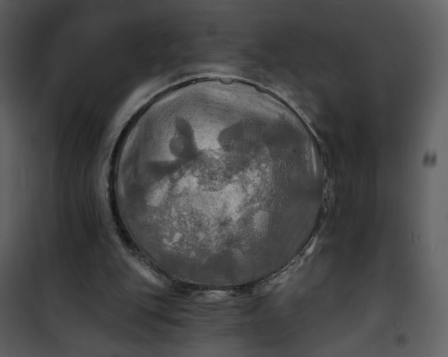 X0000101160151200807181407