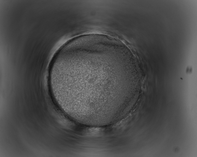 X0000101160152200807181407