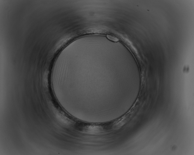 X0000101160154200807181407