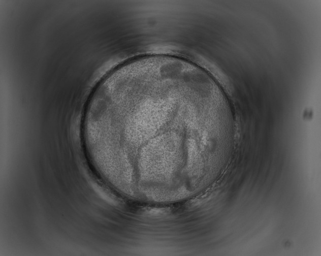 X0000101160155200807181407