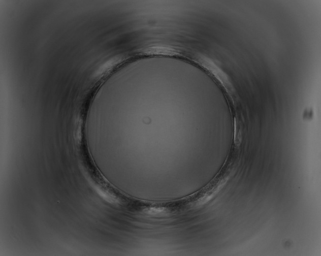 X0000101160157200807181407