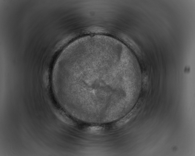 X0000101160158200807181407
