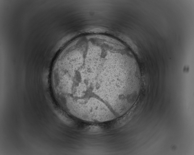 X0000101160159200807181407