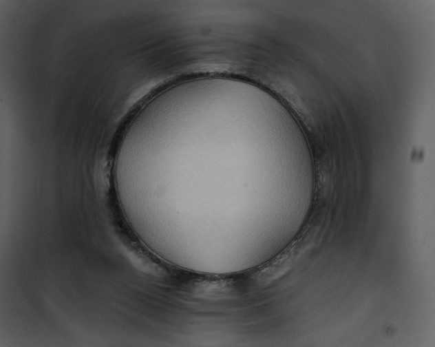 X0000101160160200807181407