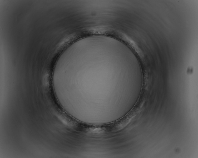 X0000101160161200807181407