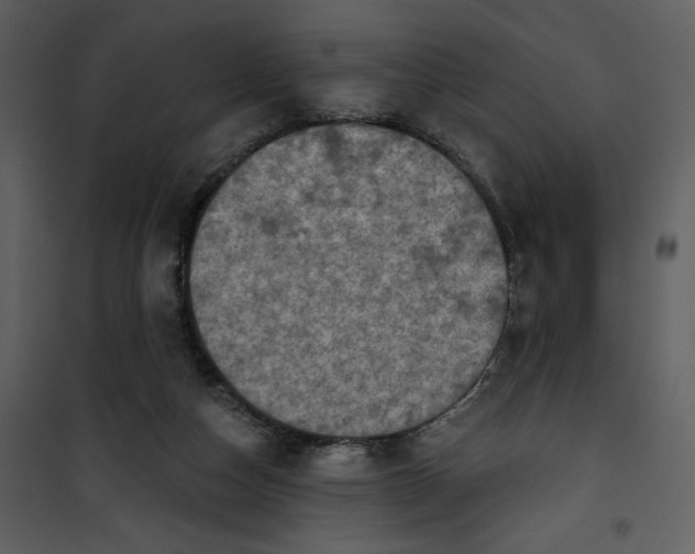 X0000101160162200807181407