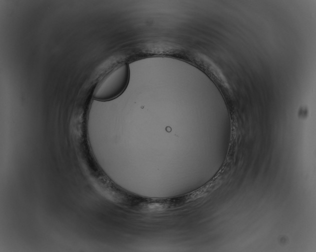 X0000101160163200807181407