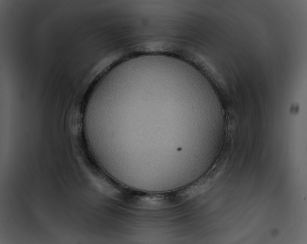 X0000101160164200807181407