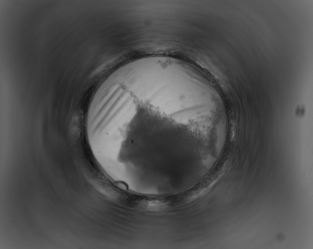 X0000101160165200807181407
