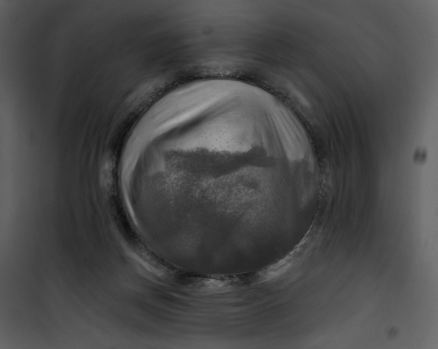 X0000101160166200807181407