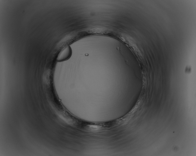 X0000101160167200807181407
