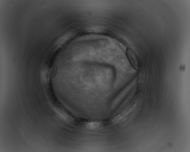 X0000101160168200807181407