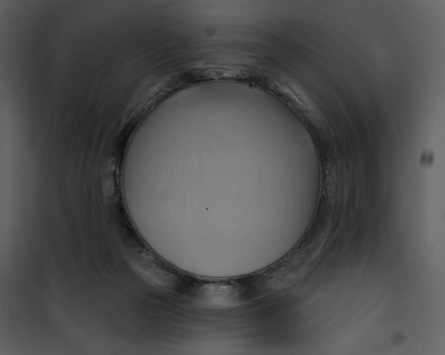 X0000101160169200807181407