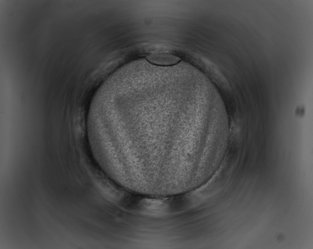 X0000101160170200807181407