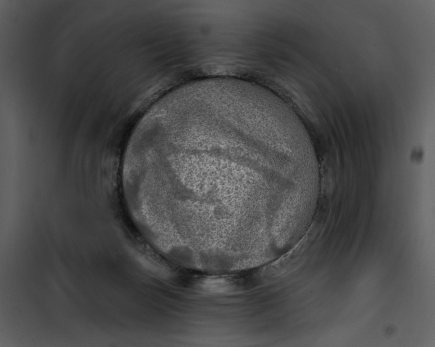 X0000101160171200807181407