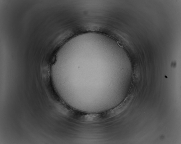 X0000101160172200807181407