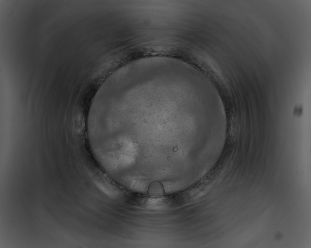 X0000101160173200807181407