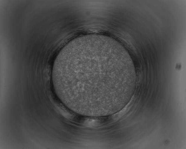 X0000101160174200807181407
