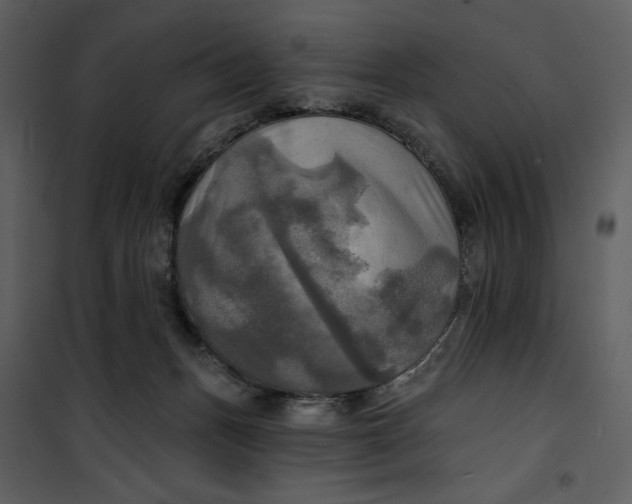X0000101160175200807181407