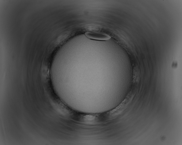 X0000101160176200807181407