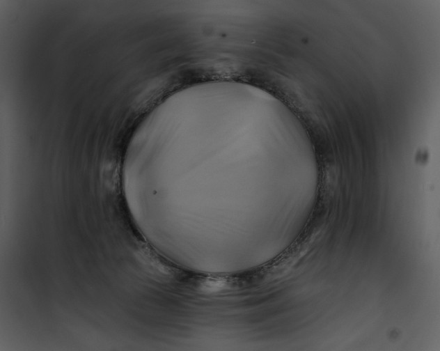 X0000101160177200807181407