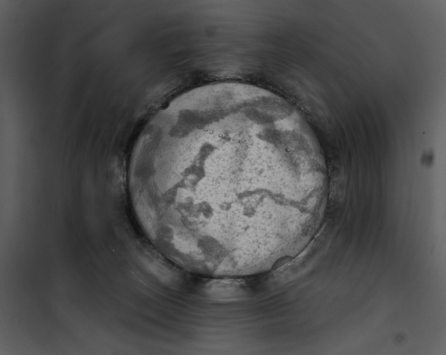 X0000101160179200807181407