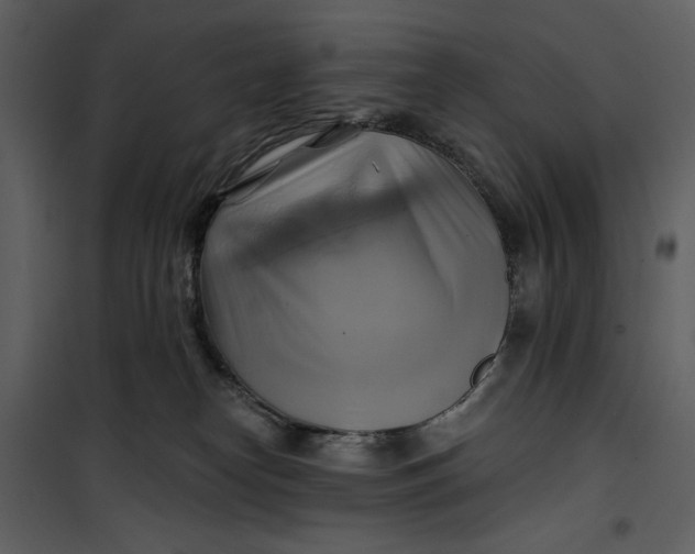 X0000101160182200807181408