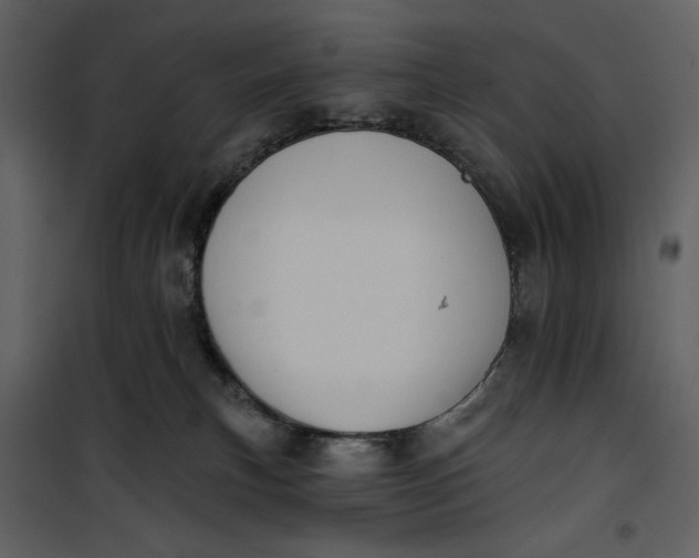 X0000101160183200807181408