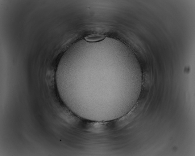 X0000101160184200807181408