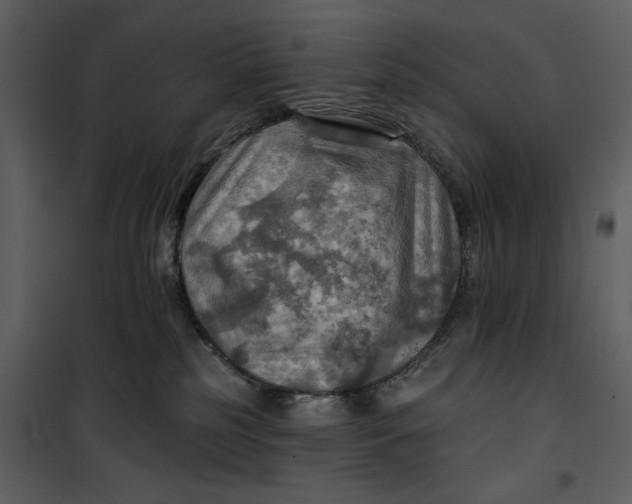X0000101160185200807181408