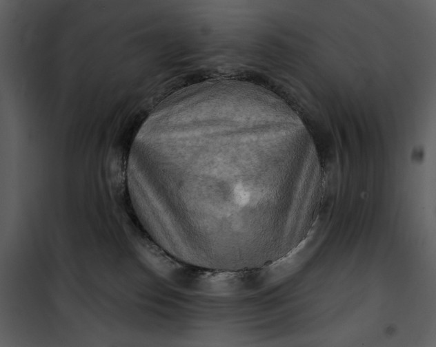 X0000101160186200807181408
