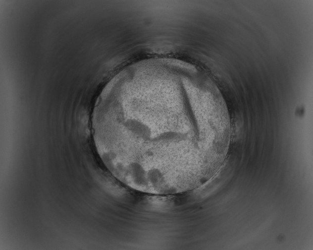 X0000101160187200807181408
