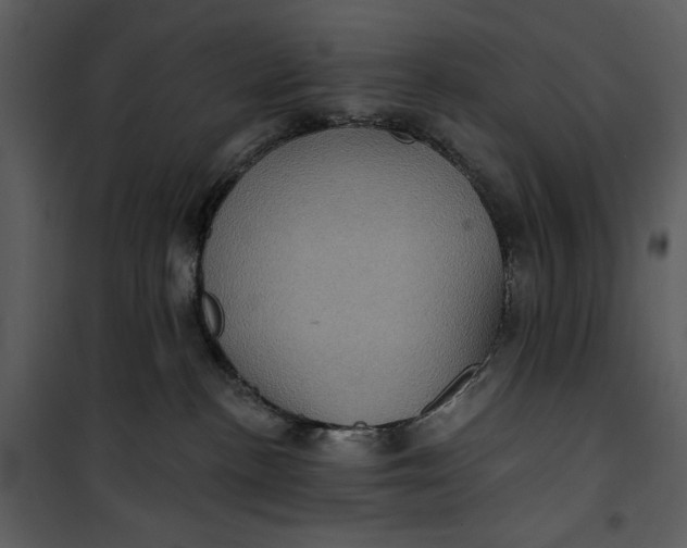 X0000101160188200807181408