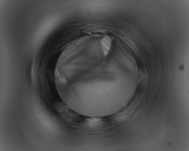 X0000101160189200807181408