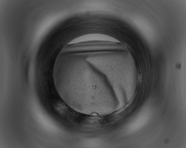 X0000101160190200807181408